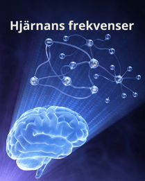 Hjärnans frekvenser